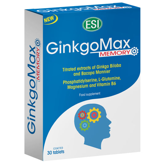 GinkgoMax Memory