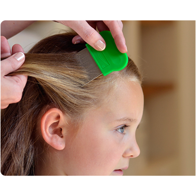 Paranix Head Lice & Eggs Treatment